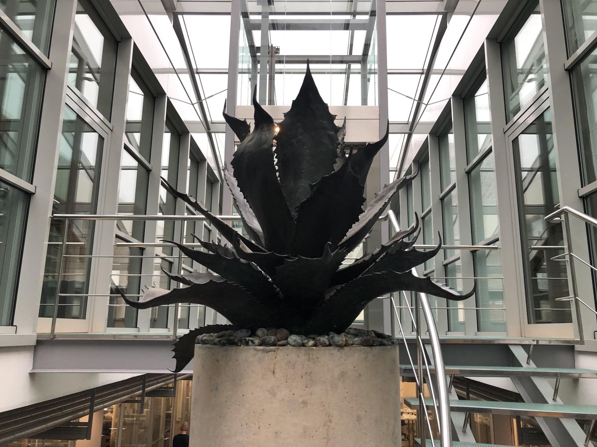 Metal agave sculpture in the D'Or Joiers building atrium